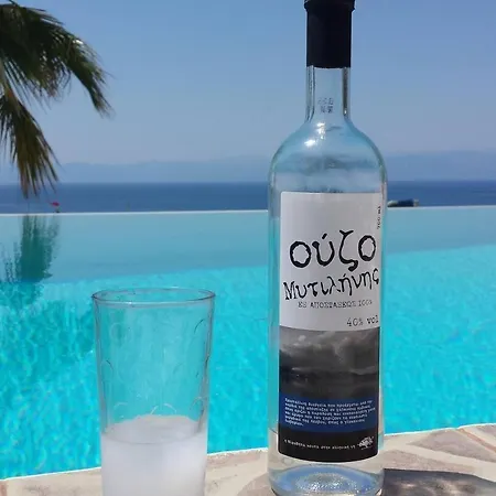 Luxurious Cosy Breathtaking Seaview Pool Βίλα